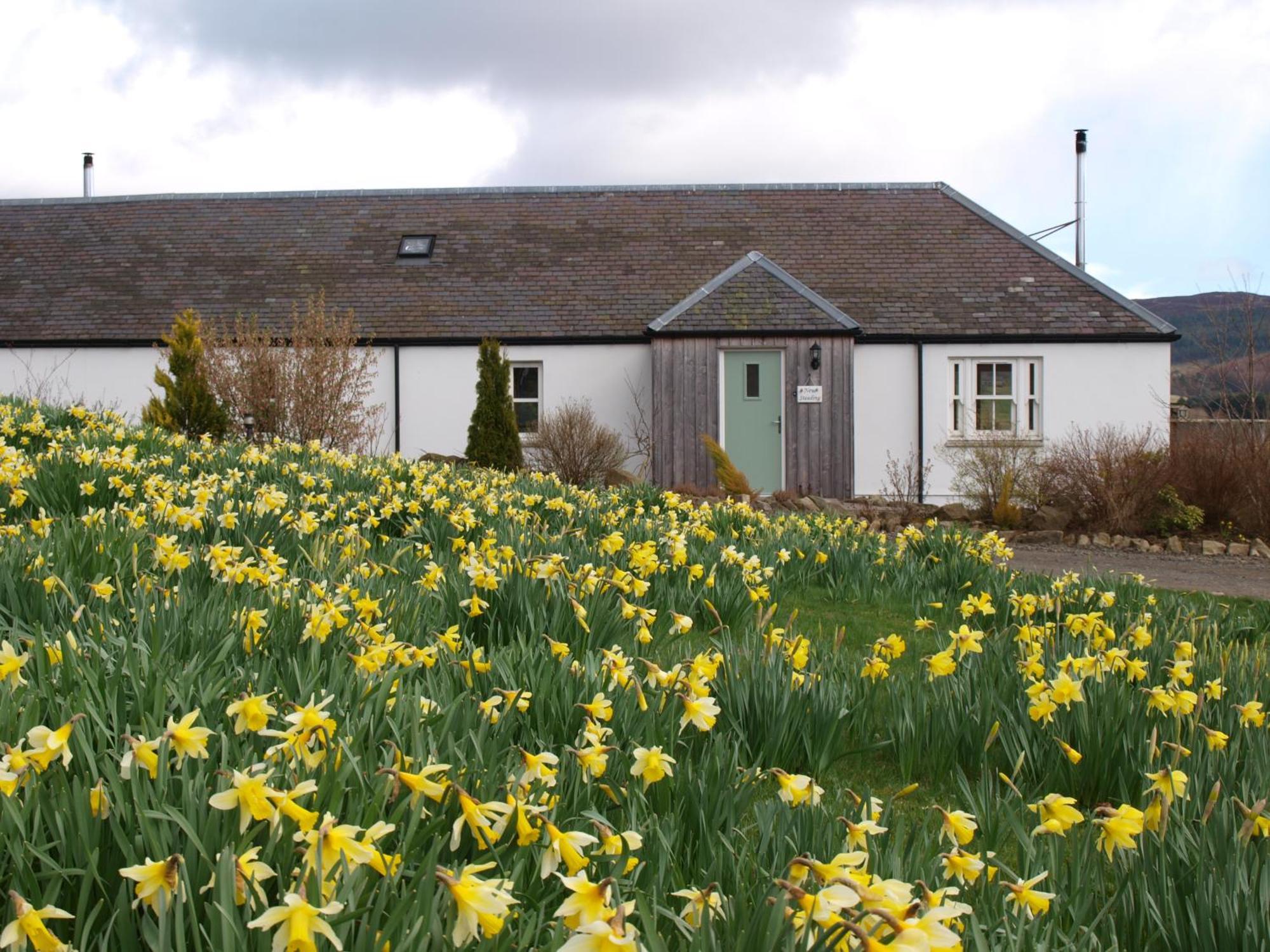 Dalnoid Cottages & Treehouses Nr Glenshee ภายนอก รูปภาพ